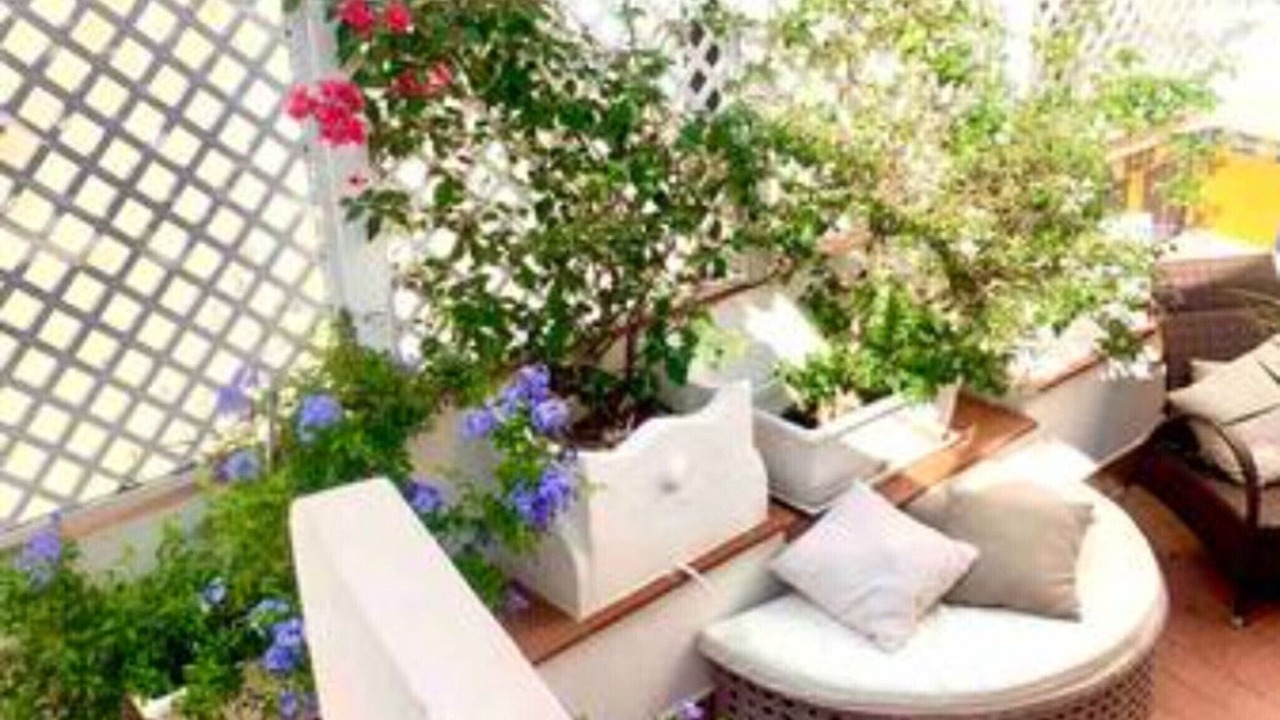 Photo of Patio Balcony in Vieste
