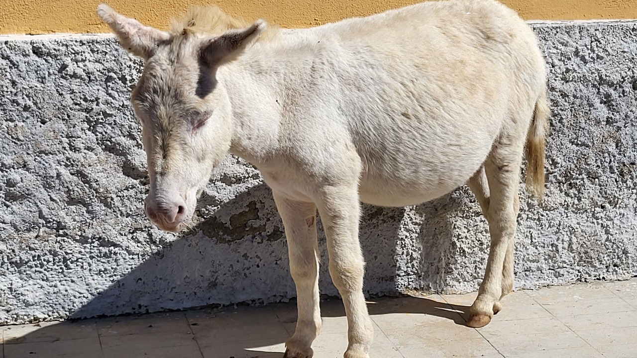 Photo of Others in Costa Paradiso