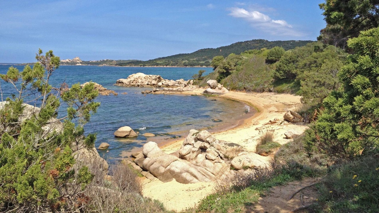 Photo of Others in Olbia