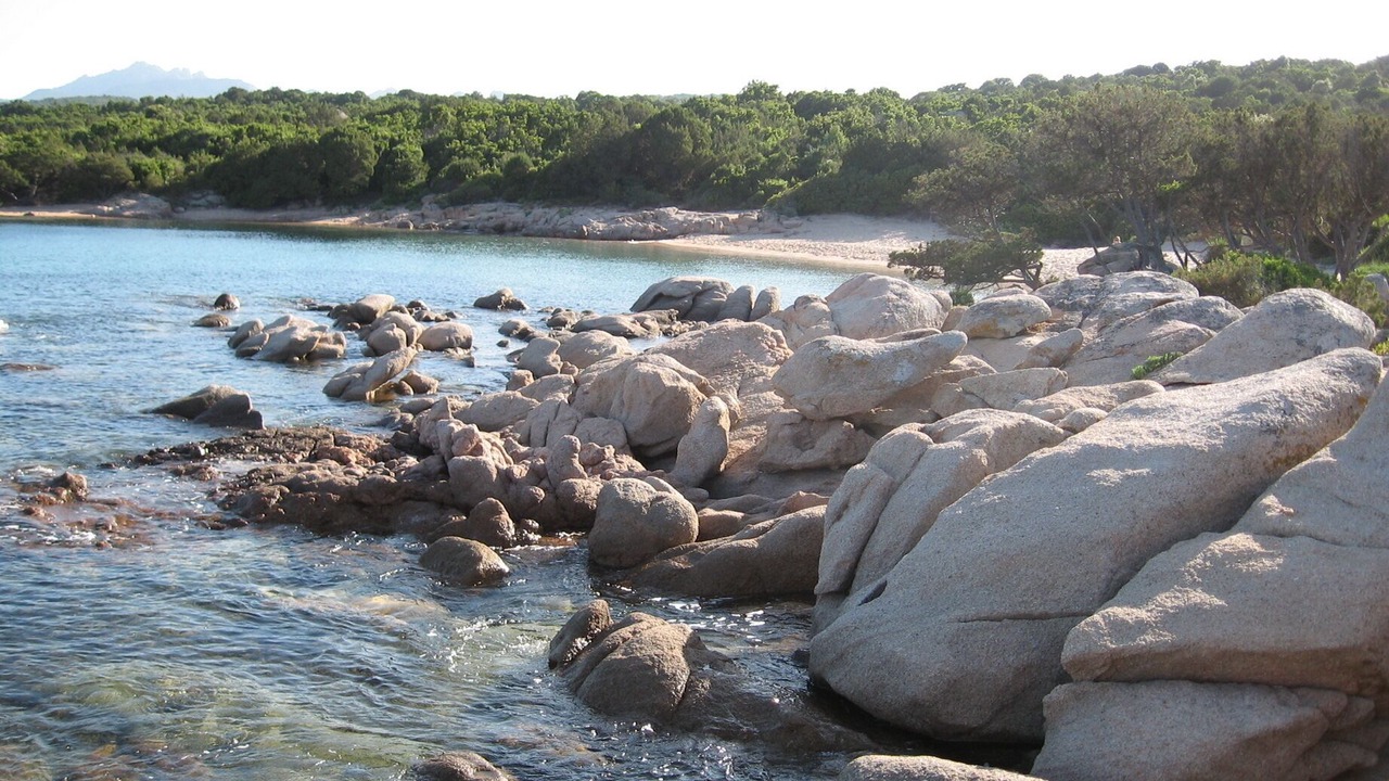 Photo of Others in Olbia