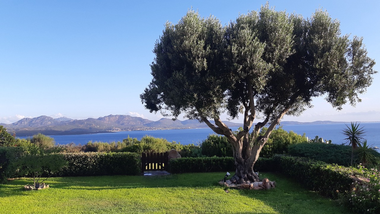 Photo of Outdoor in Li Cuncheddi