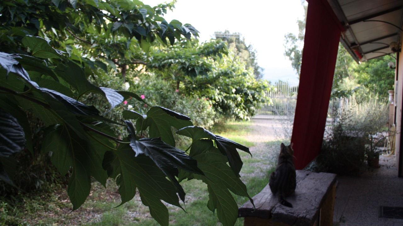 Photo of Outdoor in Castiadas