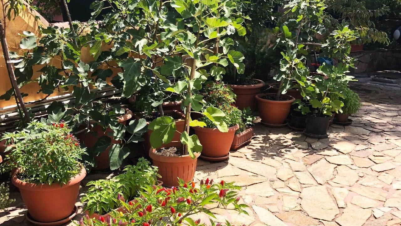 Photo of Outdoor in Sas Linnas Siccas