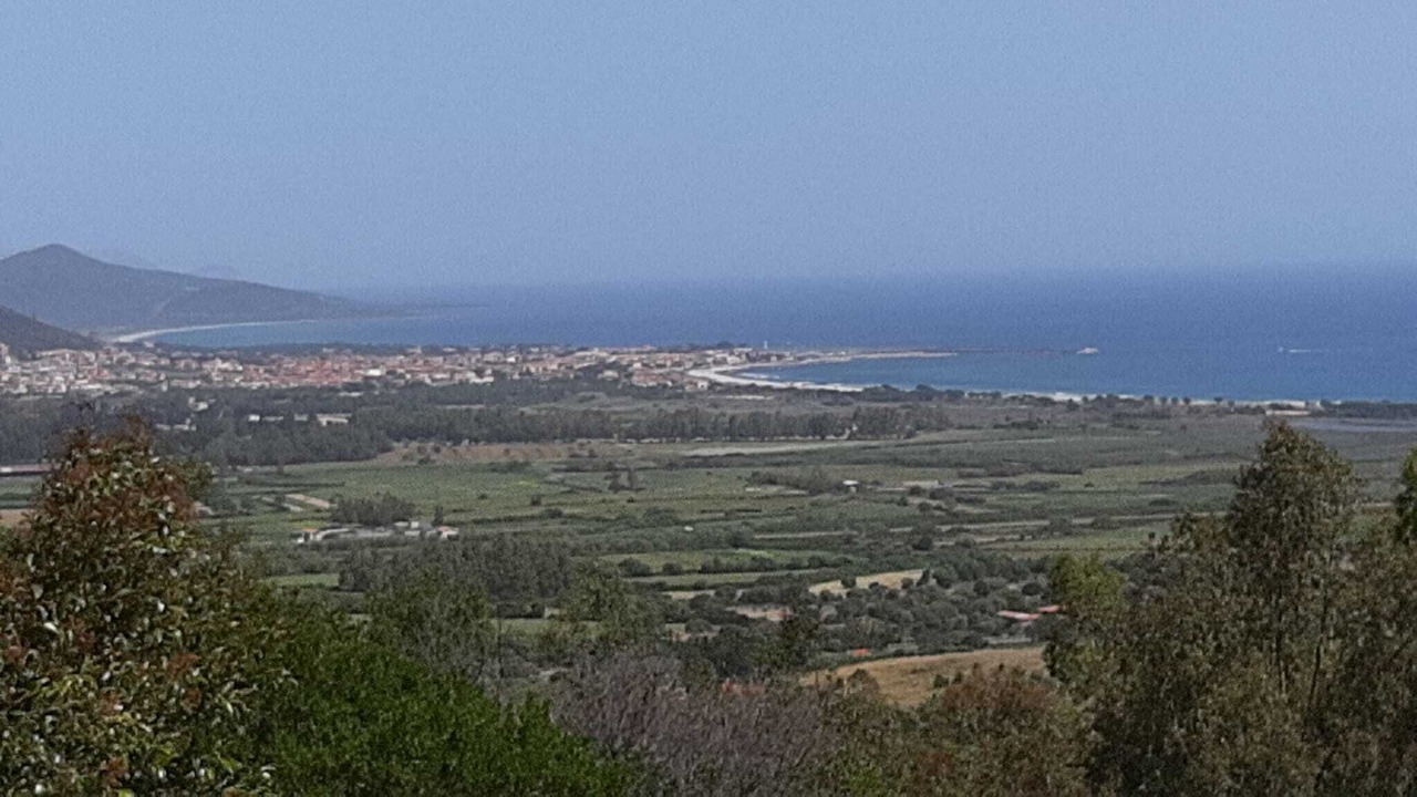 Photo of Others in Siniscola