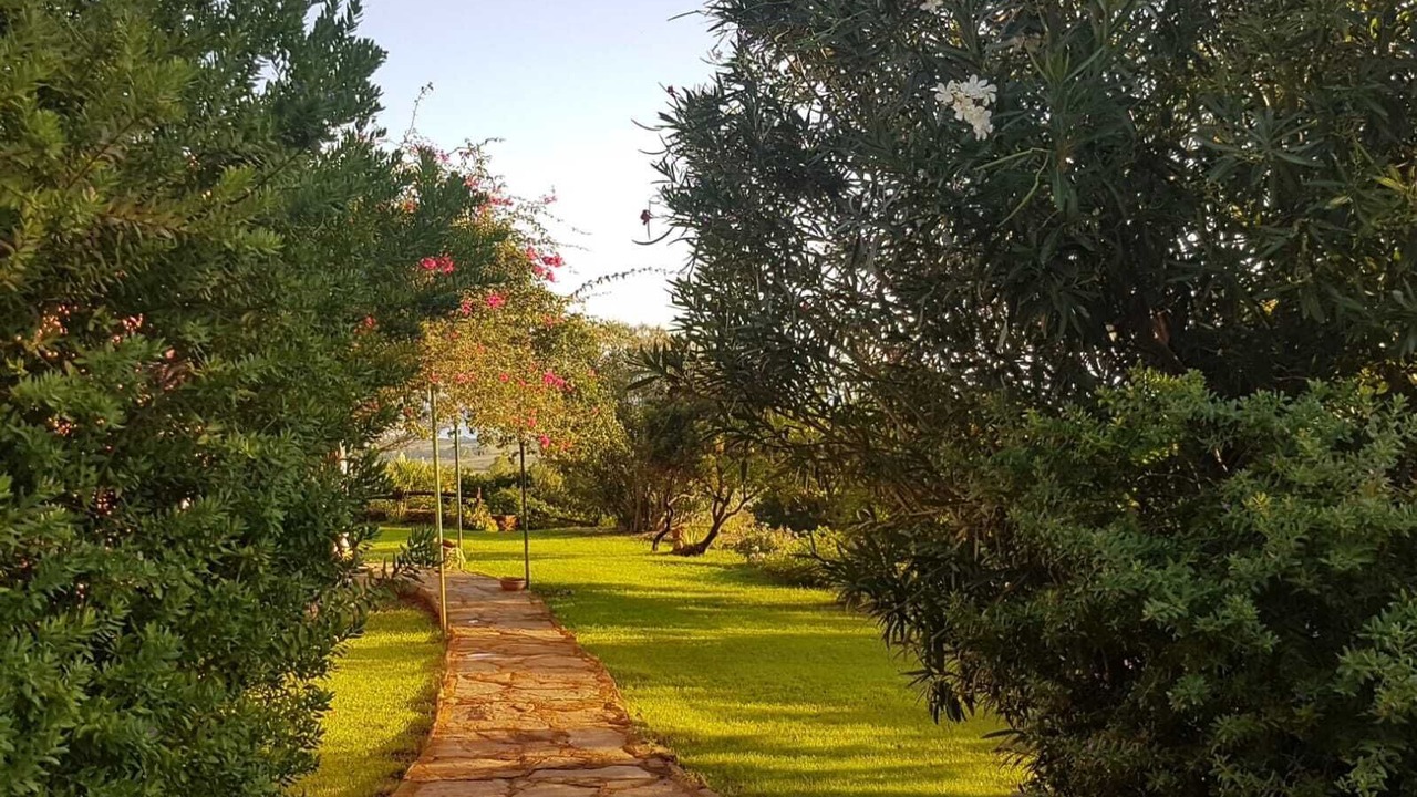 Photo of Outdoor in Siniscola