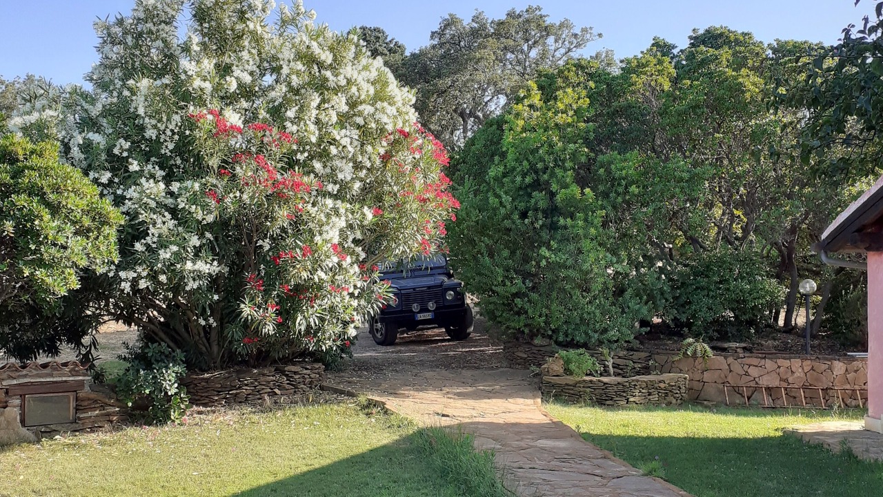 Photo of Outdoor in Siniscola