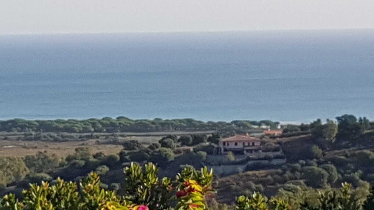 Photo of Others in Siniscola