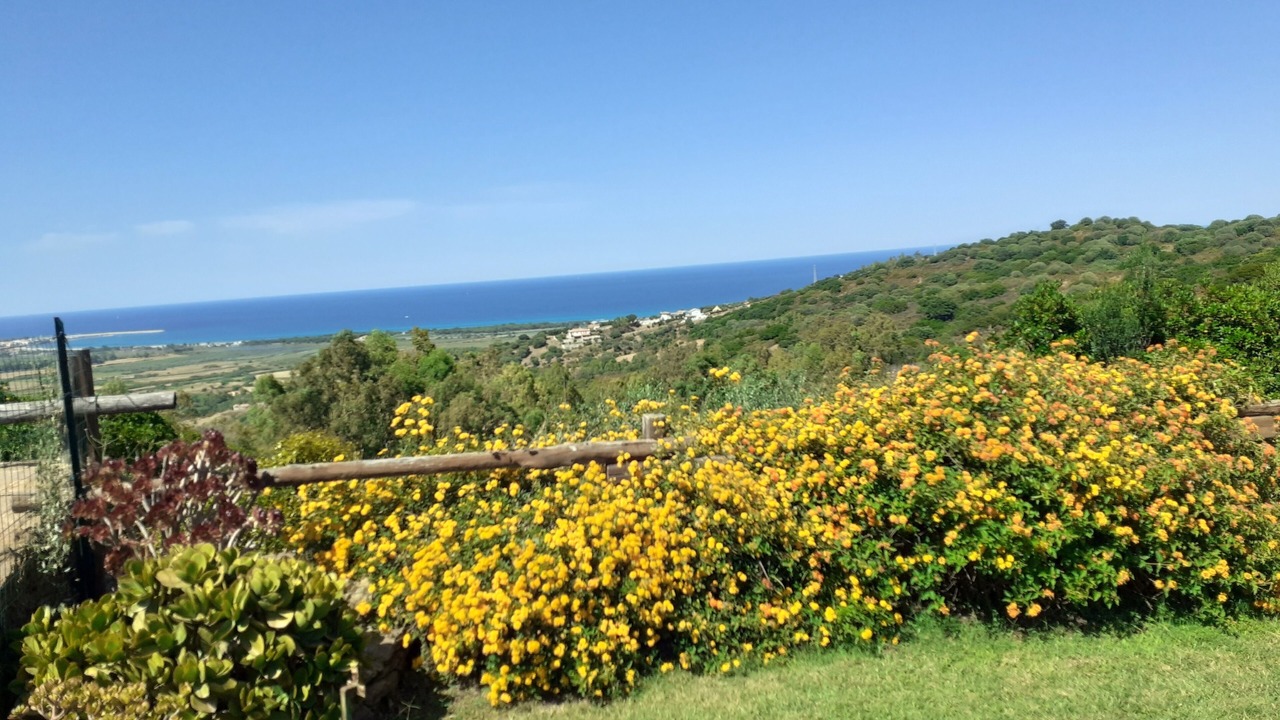 Photo of Outdoor in Siniscola