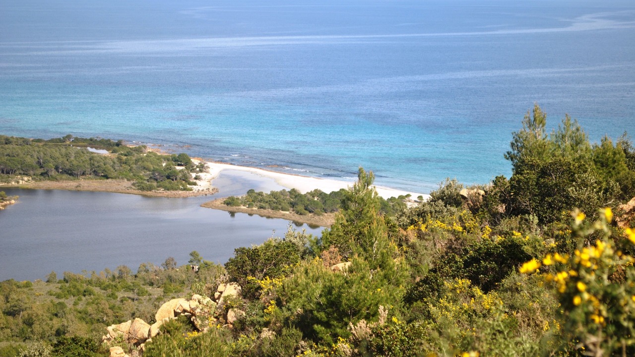 Photo of Others in Orosei