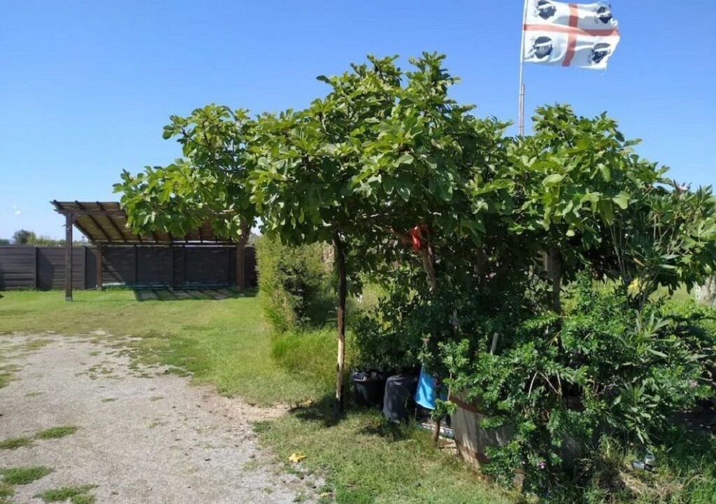 Photo of Outdoor in San Giovanni Suergiu