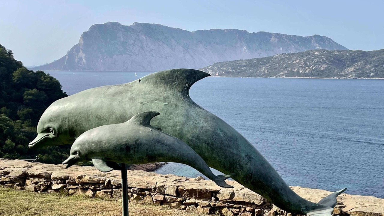 Photo of Outdoor in Capo Coda Cavallo