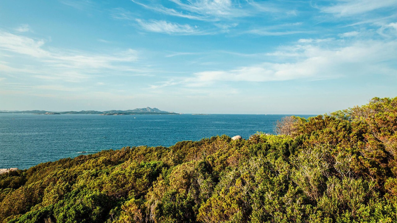 Photo of Others in Baja Sardinia