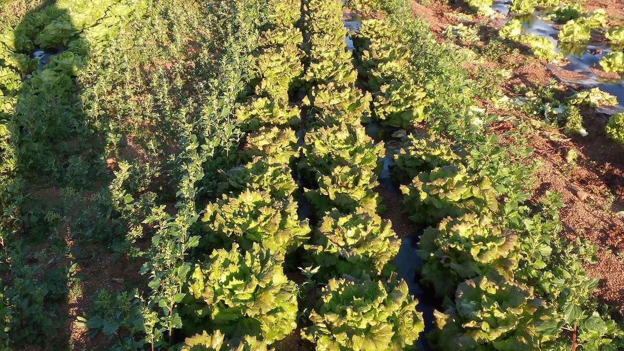 Photo of Outdoor in Olbia