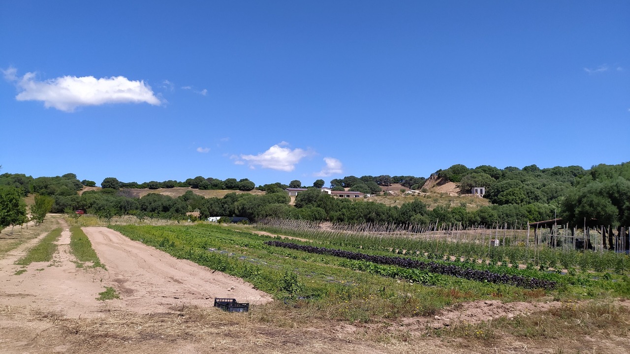 Photo of Outdoor in Olbia