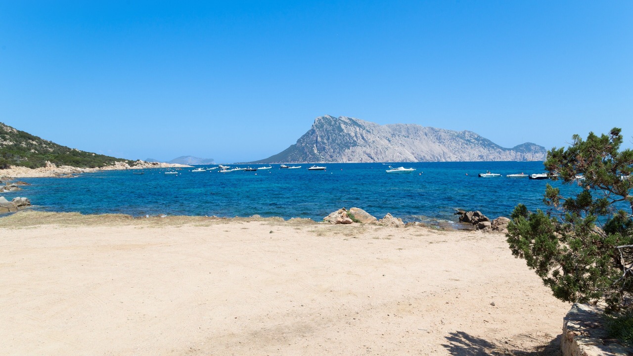 Photo of Others in San Teodoro