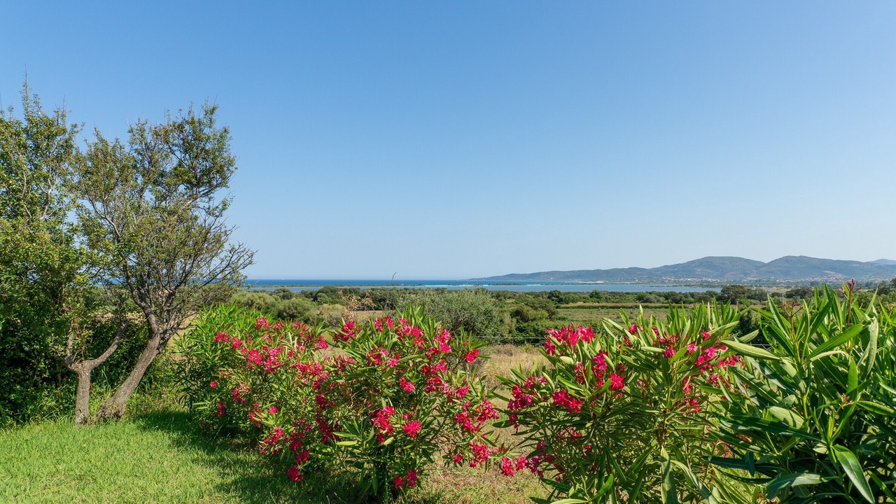 Photo of Others in San Teodoro