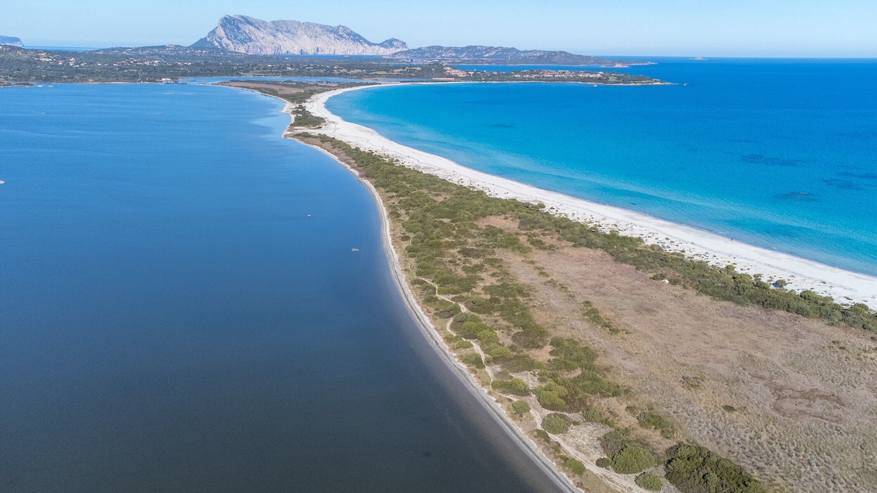 Photo of Others in San Teodoro