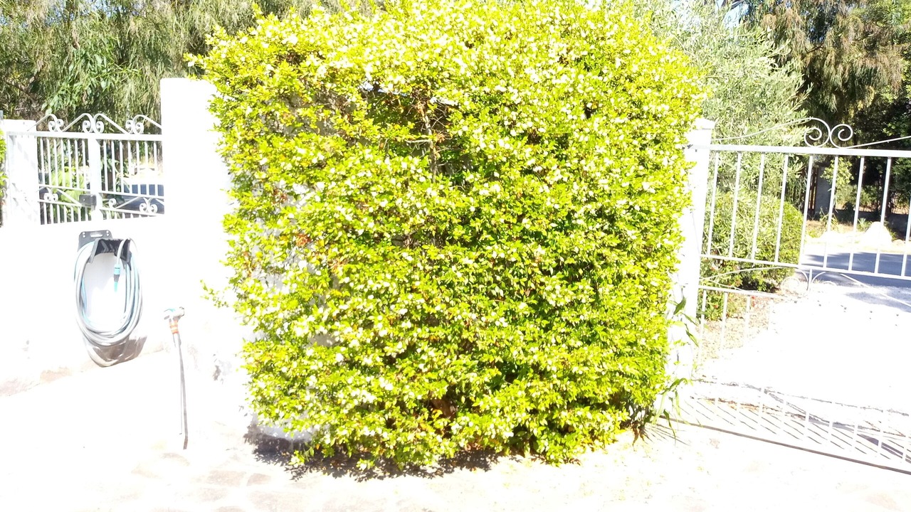 Photo of Outdoor in Cala Liberotto