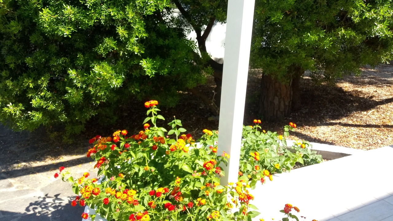 Photo of Outdoor in Cala Liberotto