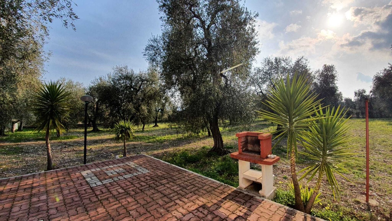 Photo of Outdoor in Montincello