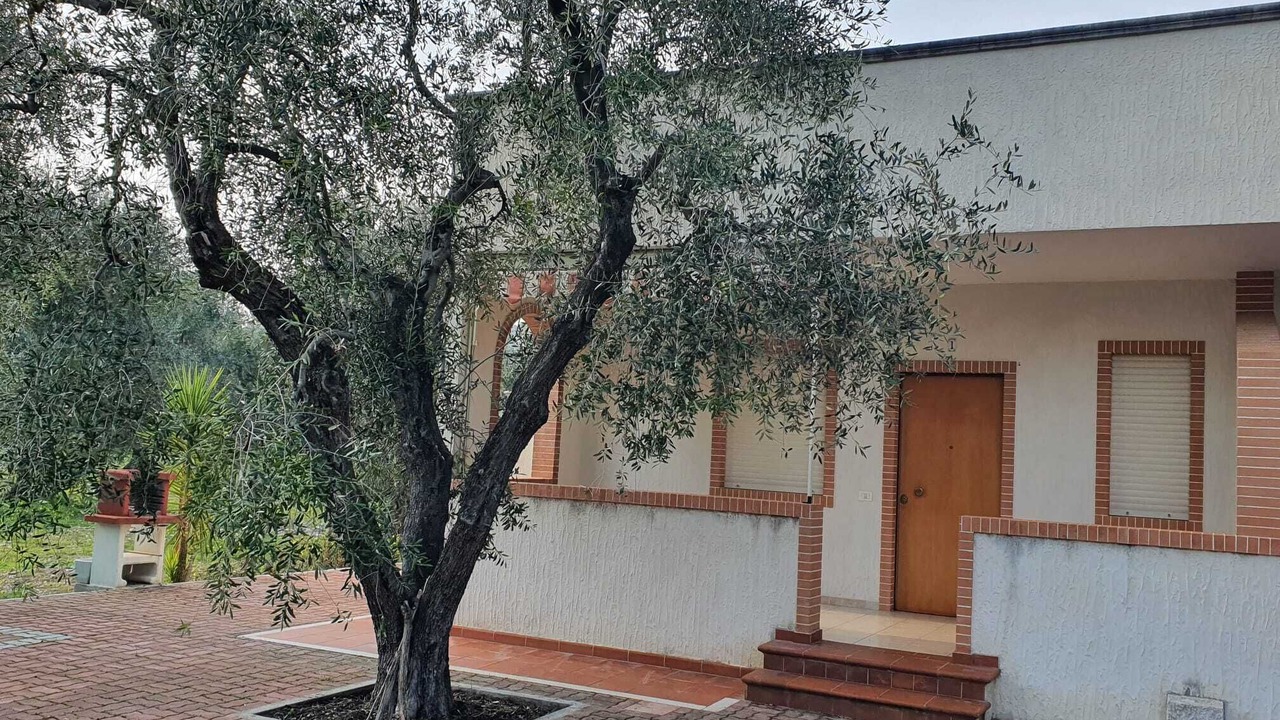 Photo of Outdoor in Montincello