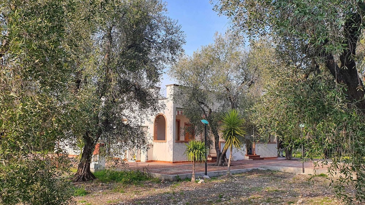 Photo of Outdoor in Montincello