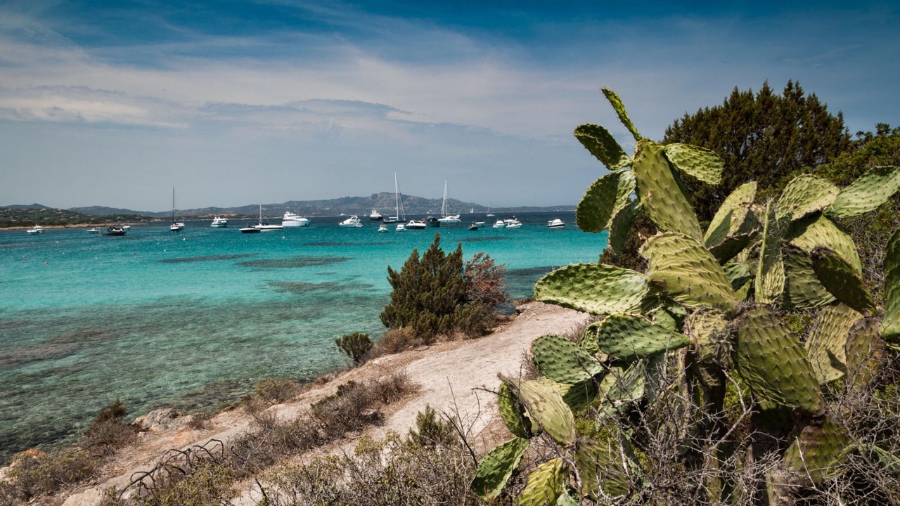 Photo of Others in Baia Caddinas