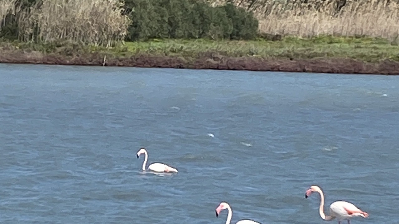 Photo of Outdoor in Sant'Anna Arresi