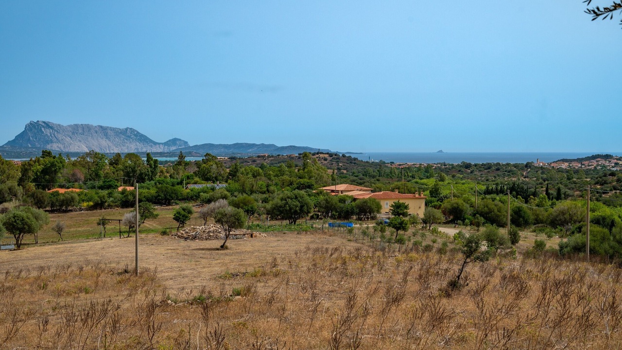 Photo of Others in San Teodoro