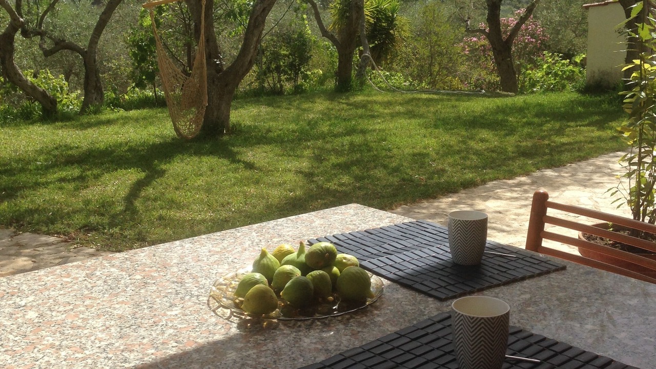 Photo of Outdoor in Alghero