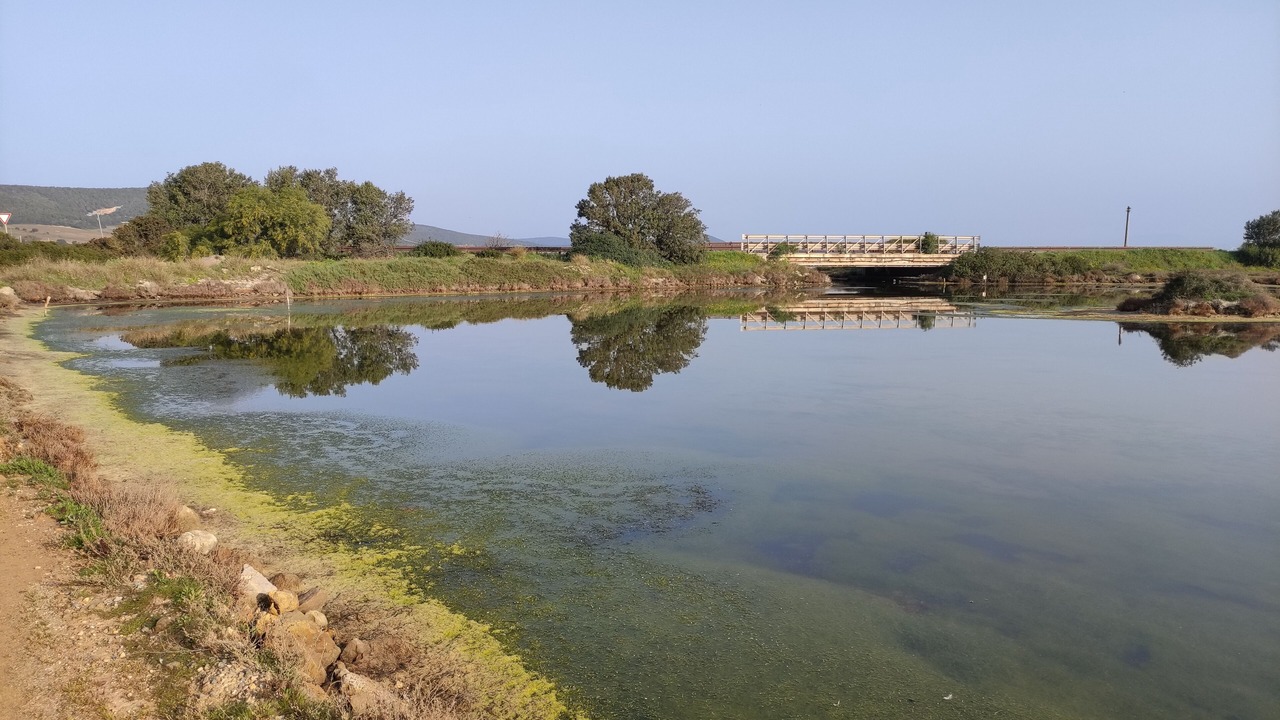Photo of Others in Porto Pino