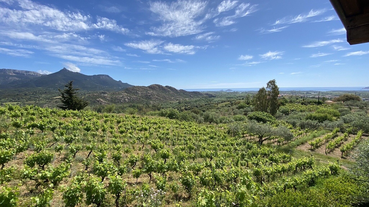 Photo of Outdoor in Lotzorai