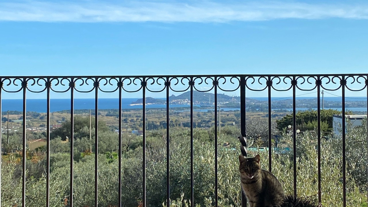 Photo of Outdoor in Lotzorai