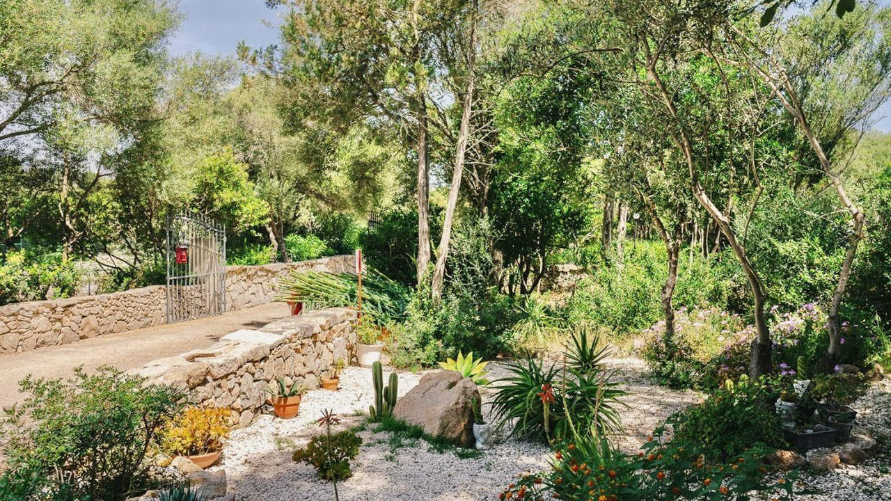 Photo of Outdoor in Porto Rotondo