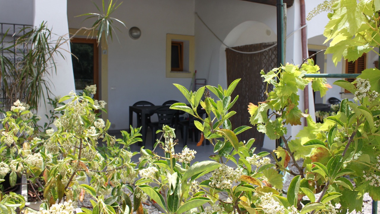 Photo of Outdoor in Arbatax