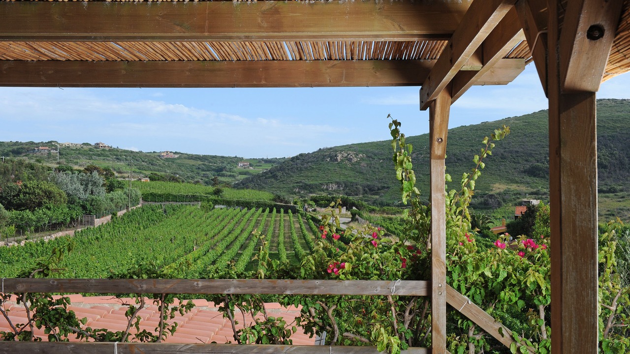 Photo of Outdoor in Magomadas
