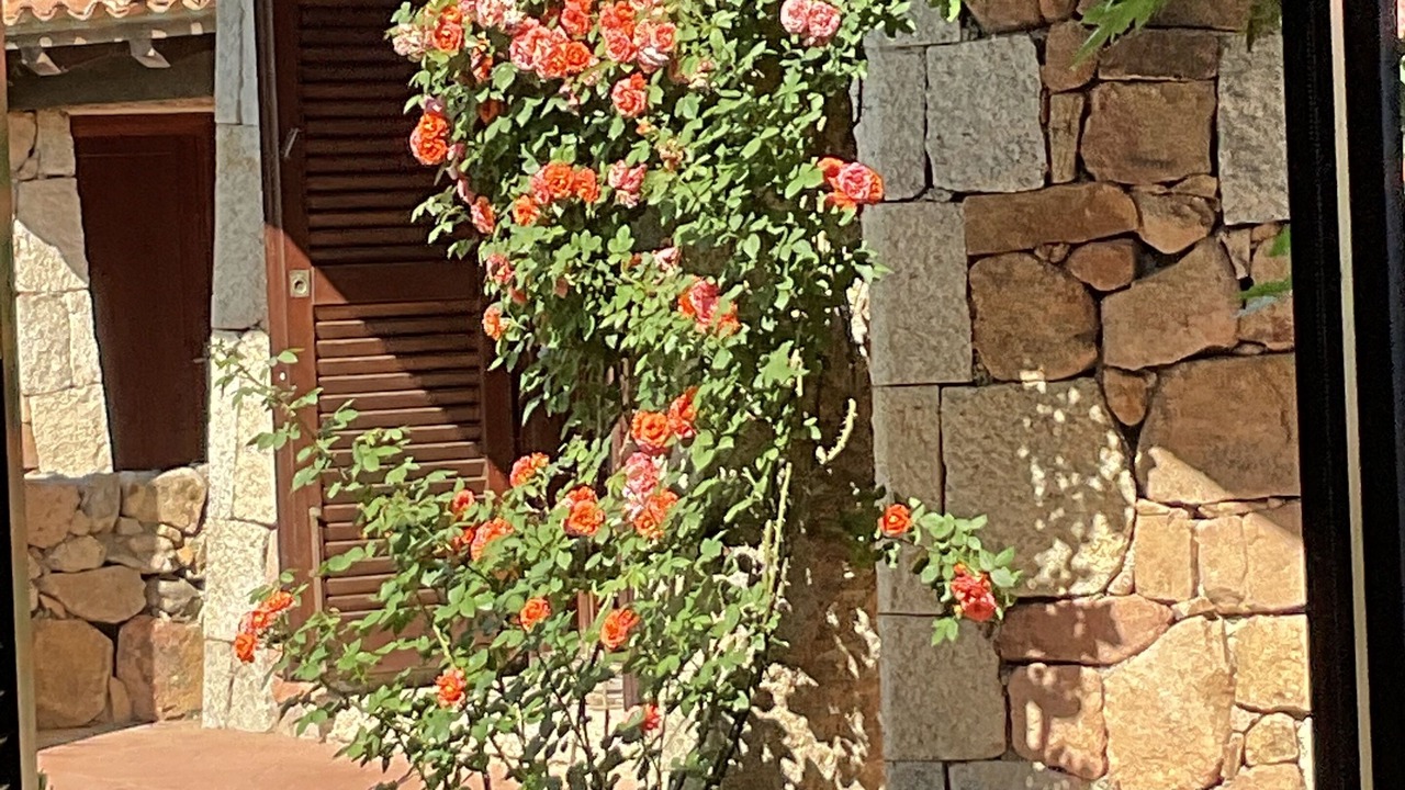 Photo of Outdoor in Puntaldia