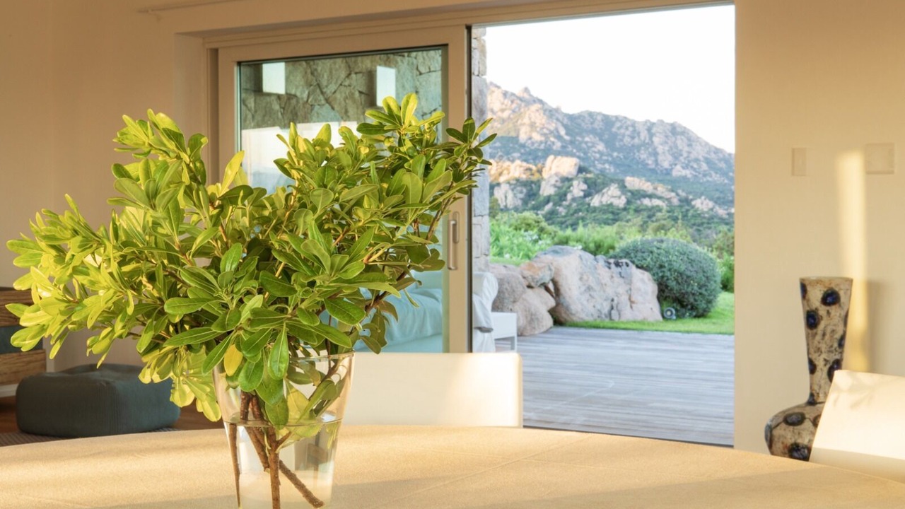 Photo of Others in Porto Cervo