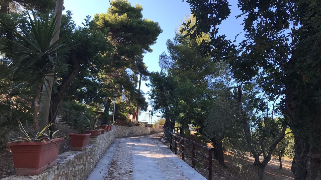 Photo of Outdoor in Vico del Gargano