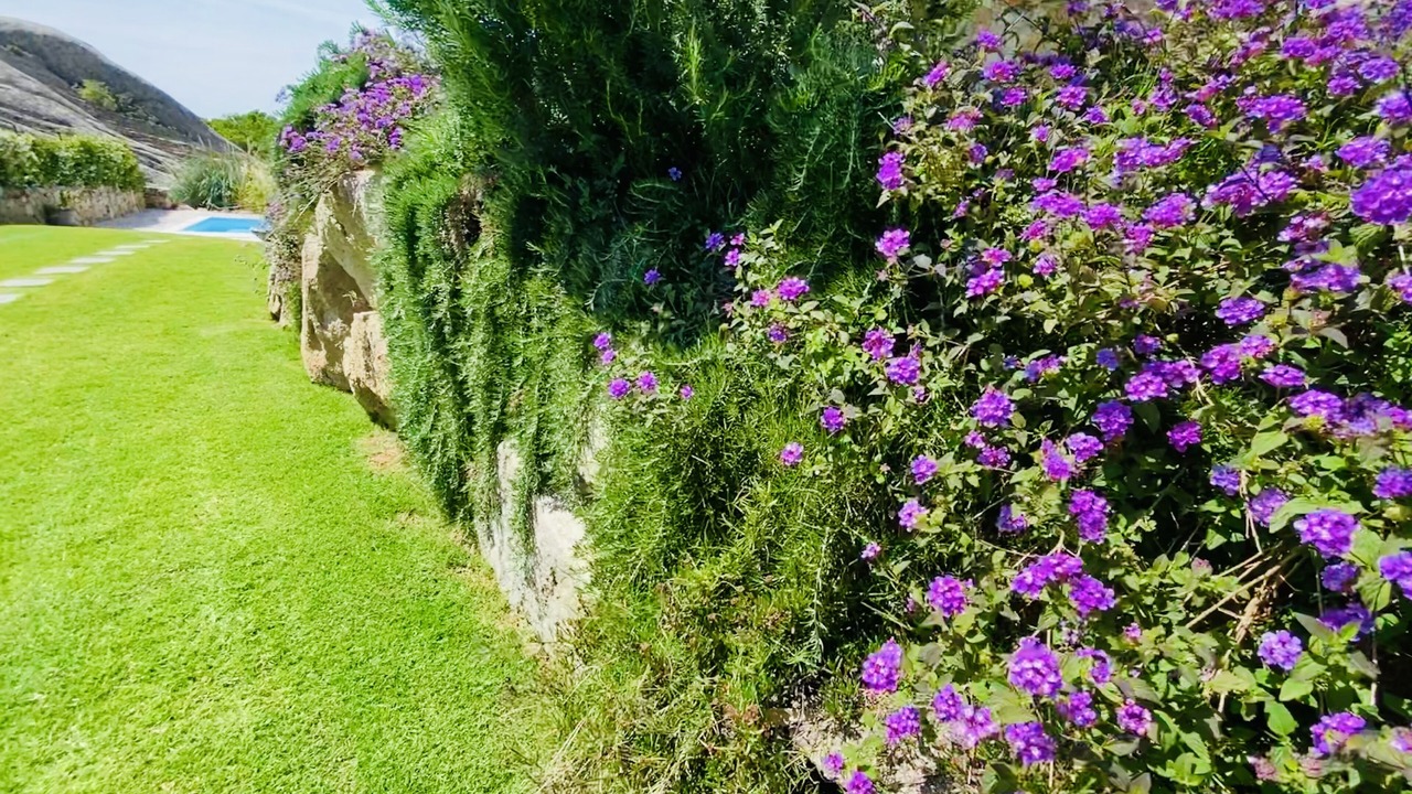 Photo of Outdoor in Tiriddo