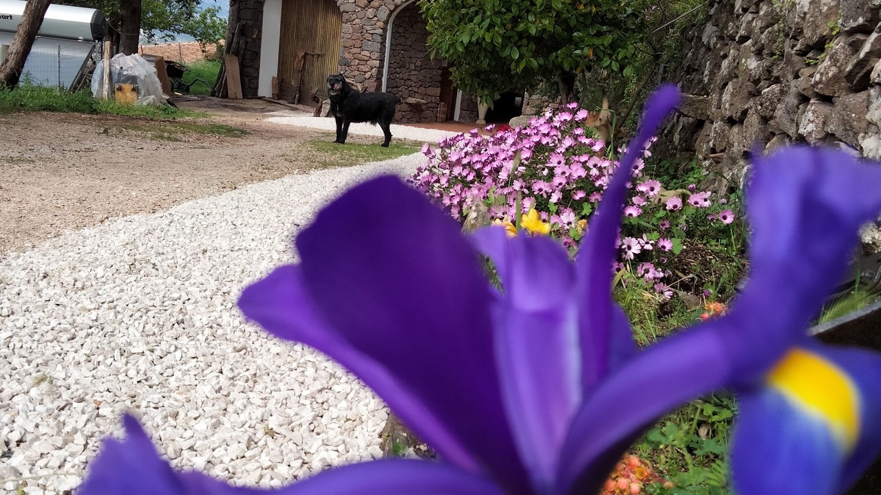 Photo of Outdoor in Dorgali