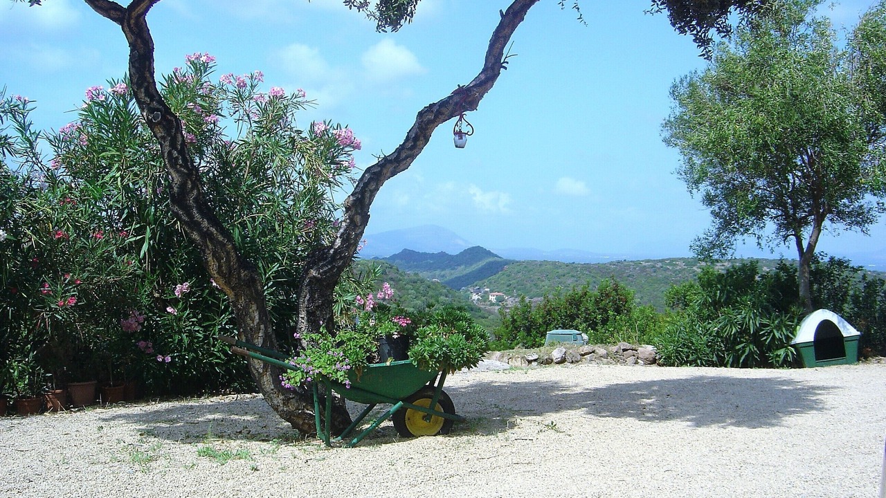 Photo of Outdoor in Alghero