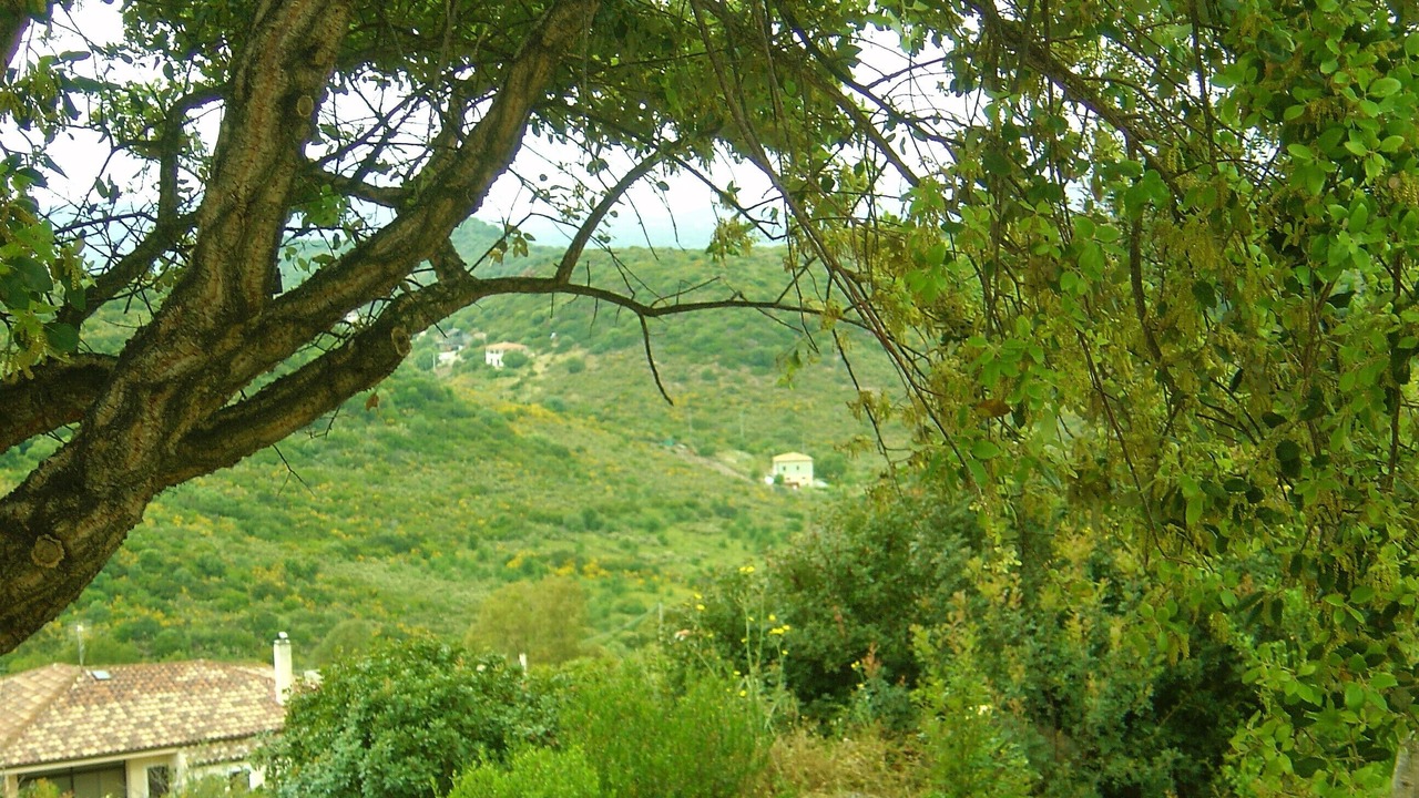Photo of Outdoor in Alghero