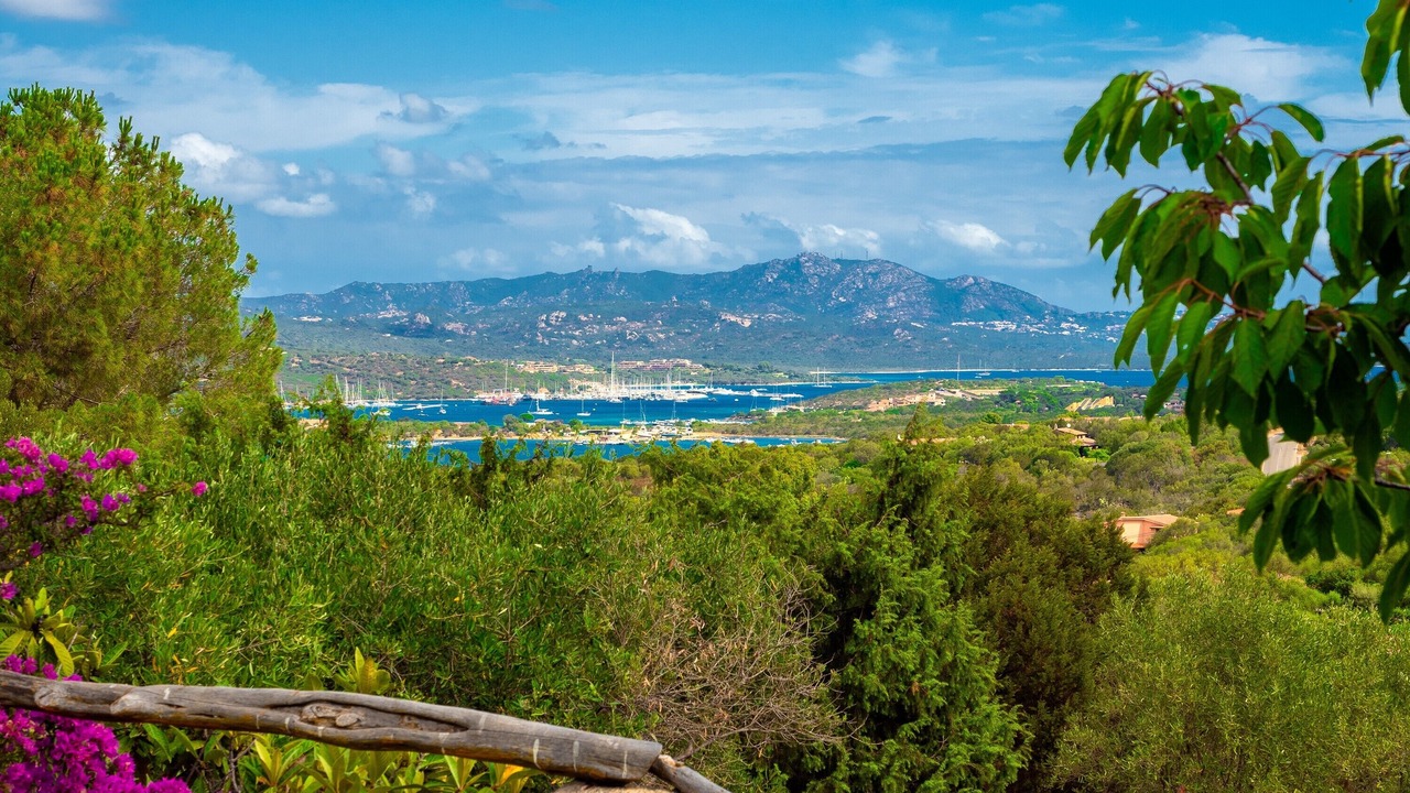 Photo of Others in Olbia