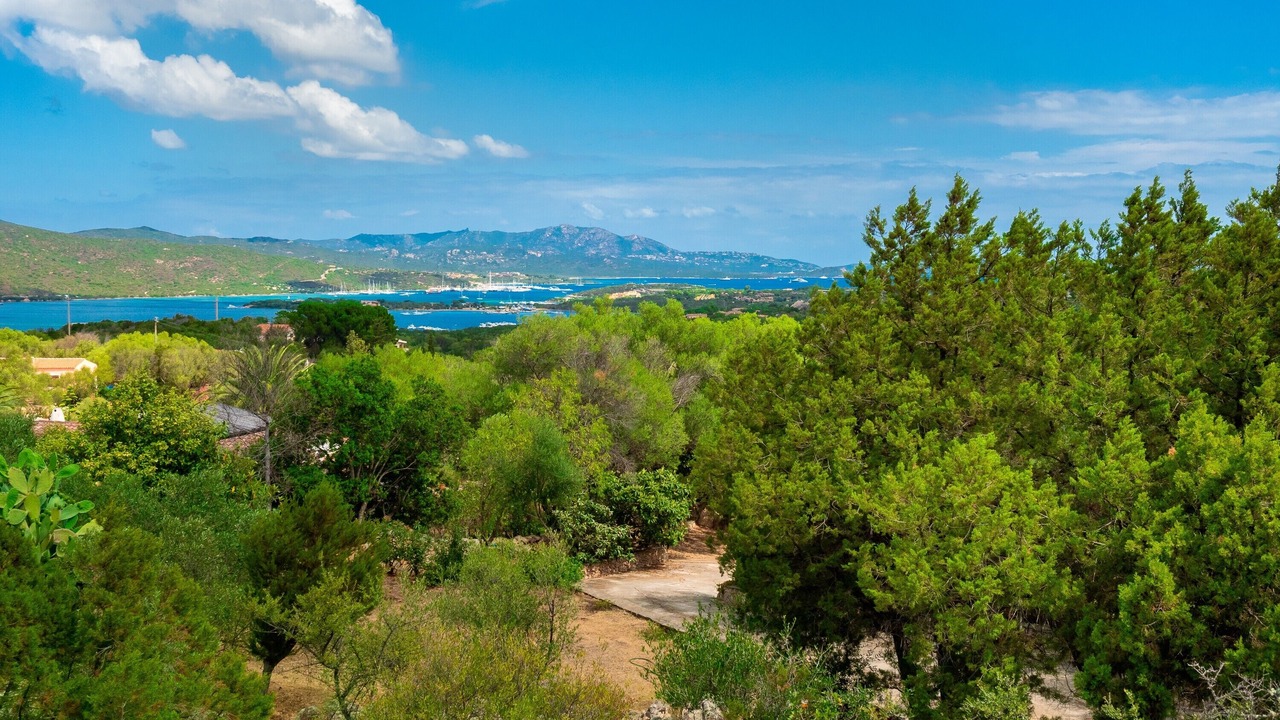 Photo of Others in Olbia