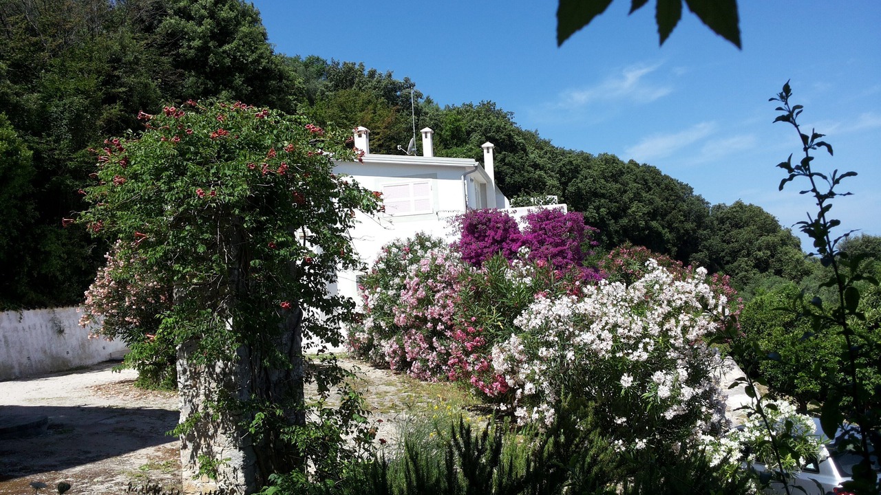 Photo of Outdoor in Rodi Garganico