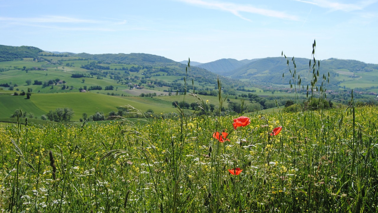 Photo of Outdoor in Acqualagna