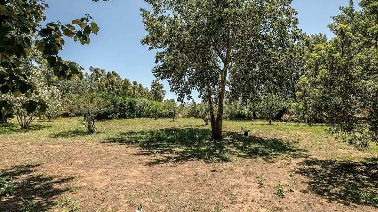 Photo of Outdoor in Chia