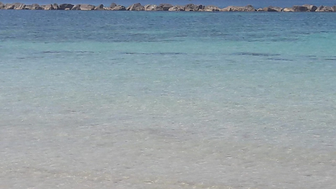 Photo of Others in Lido