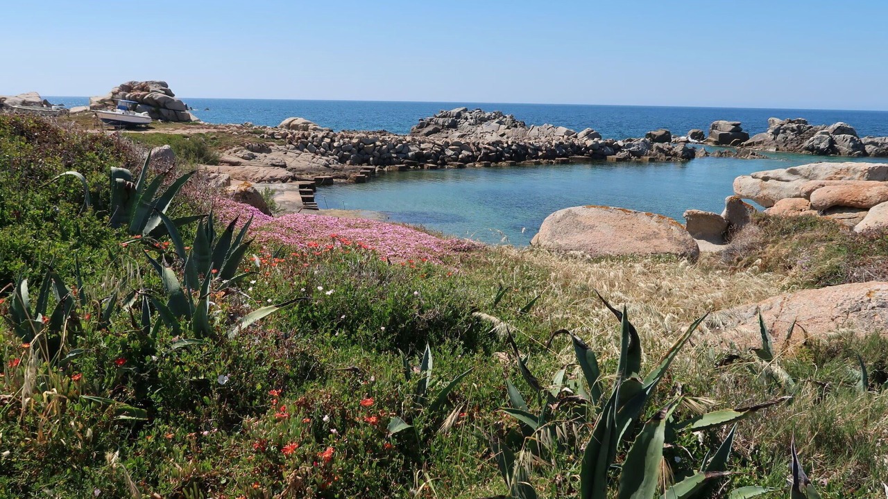 Photo of Others in Portobello di Gallura